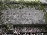 image of grave number 278849